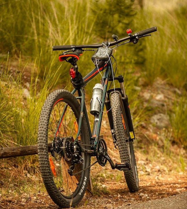 Prezzi in calo per bici e mountain bike: il cycling sfida l’inflazione