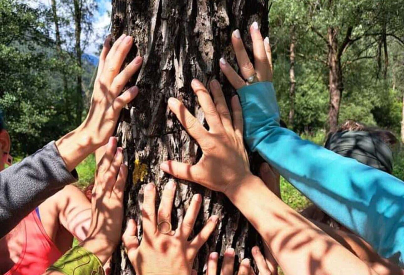 Connessioni con la Natura: un pomeriggio per ritrovare il contatto naturale