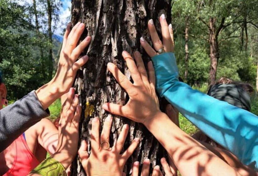 Connessioni con la Natura: un pomeriggio per ritrovare il contatto naturale