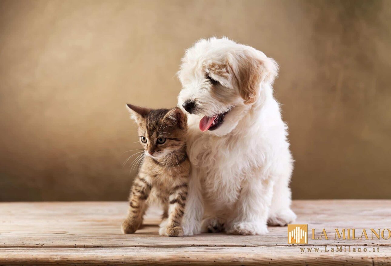 UE: microchip obbligatorio per cani e gatti, nuove norme anti-crudeltà