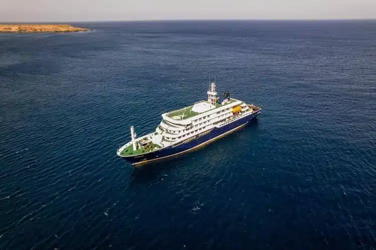 MV Hondius: focolaio di hantavirus su nave da crociera, 3 morti e casi sospetti