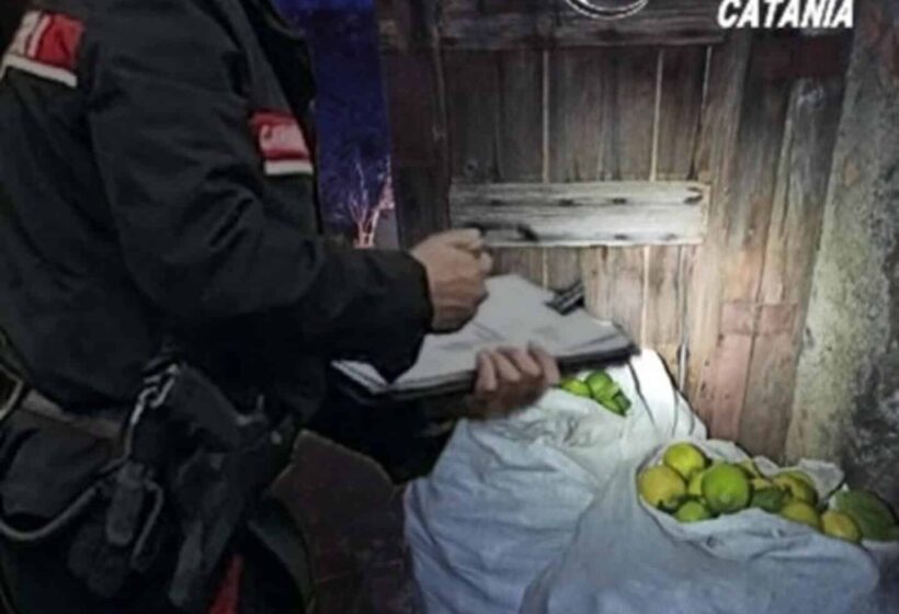Acireale e Catania, furti e rapine: Carabinieri arrestano due bande