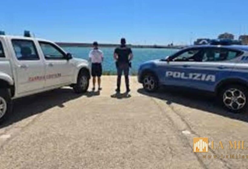 Isola di Capo Rizzuto, operazione interforze: verifiche su negozi e veicoli